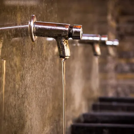 Отель Dom Zdravia - Kupele Pieniny