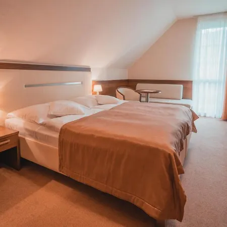 Отель Dom Zdravia - Kupele Pieniny Червены-Клаштор