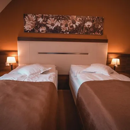 Отель Dom Zdravia - Kupele Pieniny Червены-Клаштор