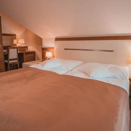 Dom Zdravia - Kupele Pieniny 3*