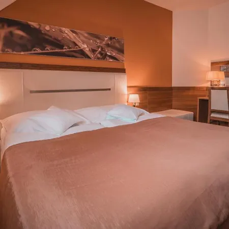 Отель Dom Zdravia - Kupele Pieniny