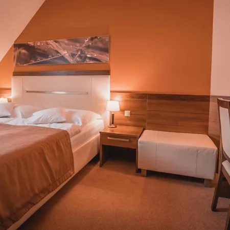 Dom Zdravia - Kupele Pieniny 3*