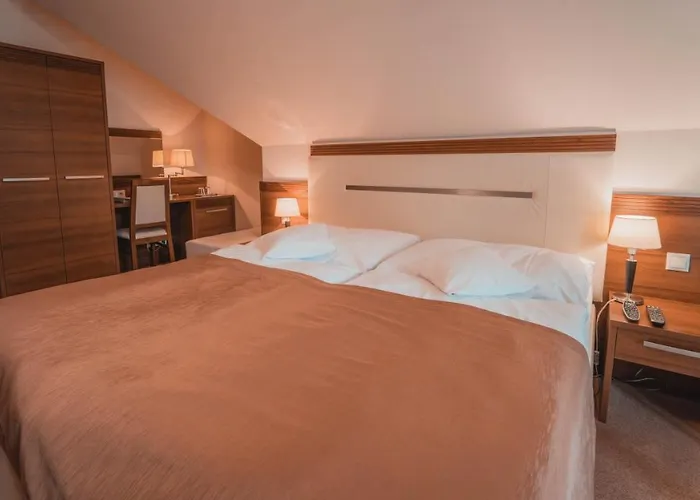Dom Zdravia - Kupele Pieniny 3*