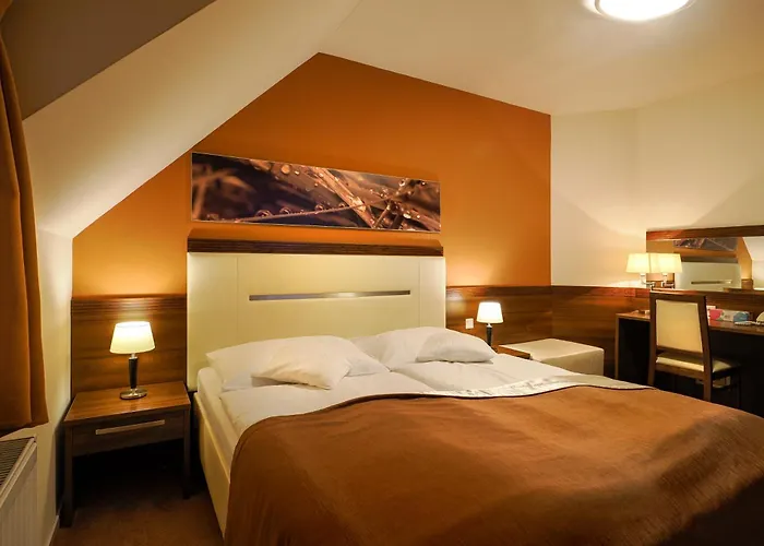 Dom Zdravia - Kupele Pieniny 3*